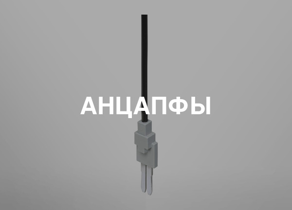 Анцапфы